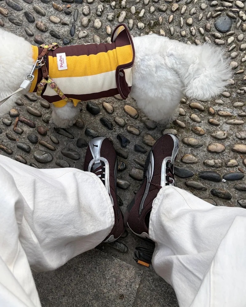 代購-<張凌赫同款>PUMA H-Street 薄底鞋 德訓鞋 休閒鞋 摩卡棕銀 男女同款 403692-11