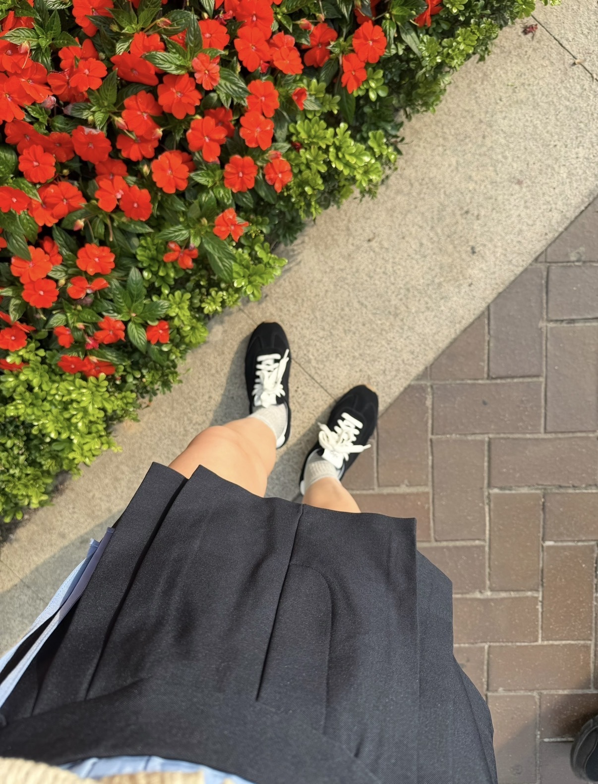 KR2610-3 - 超MIU裙褲