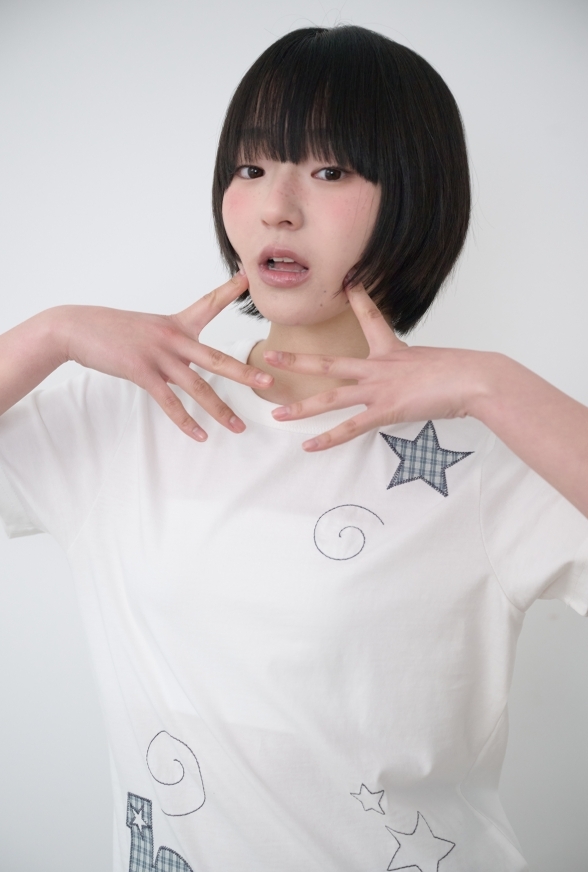 BAUF 格紋 刺繡 布章 星星 修身 短袖 短T