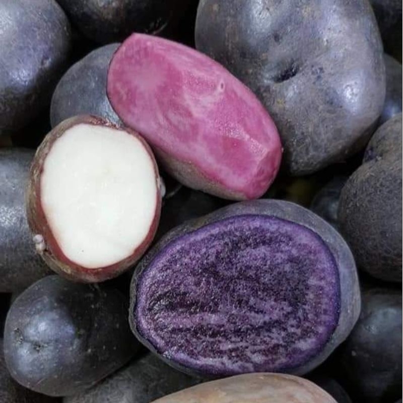 本地薯仔（斤） <紫>