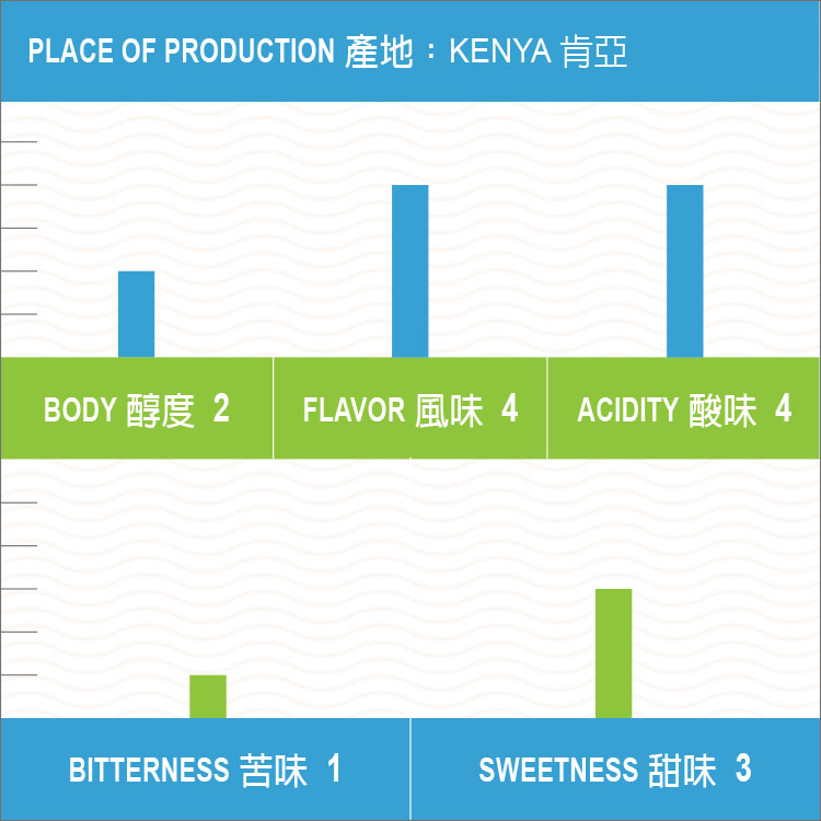 肯亞 穆拉雅產區 蓋達處理廠 AA級