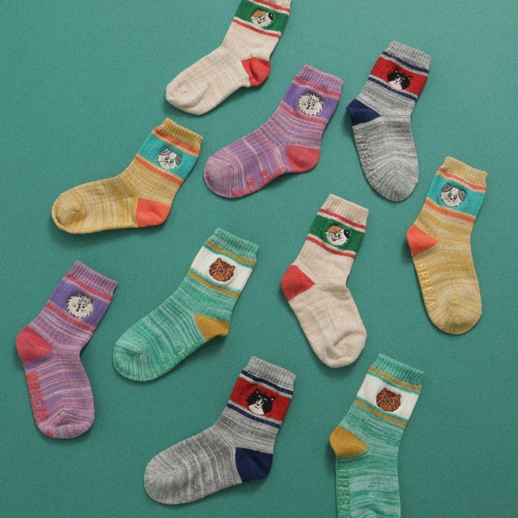 日本 BREEZY CATS刺繡襪 5色
