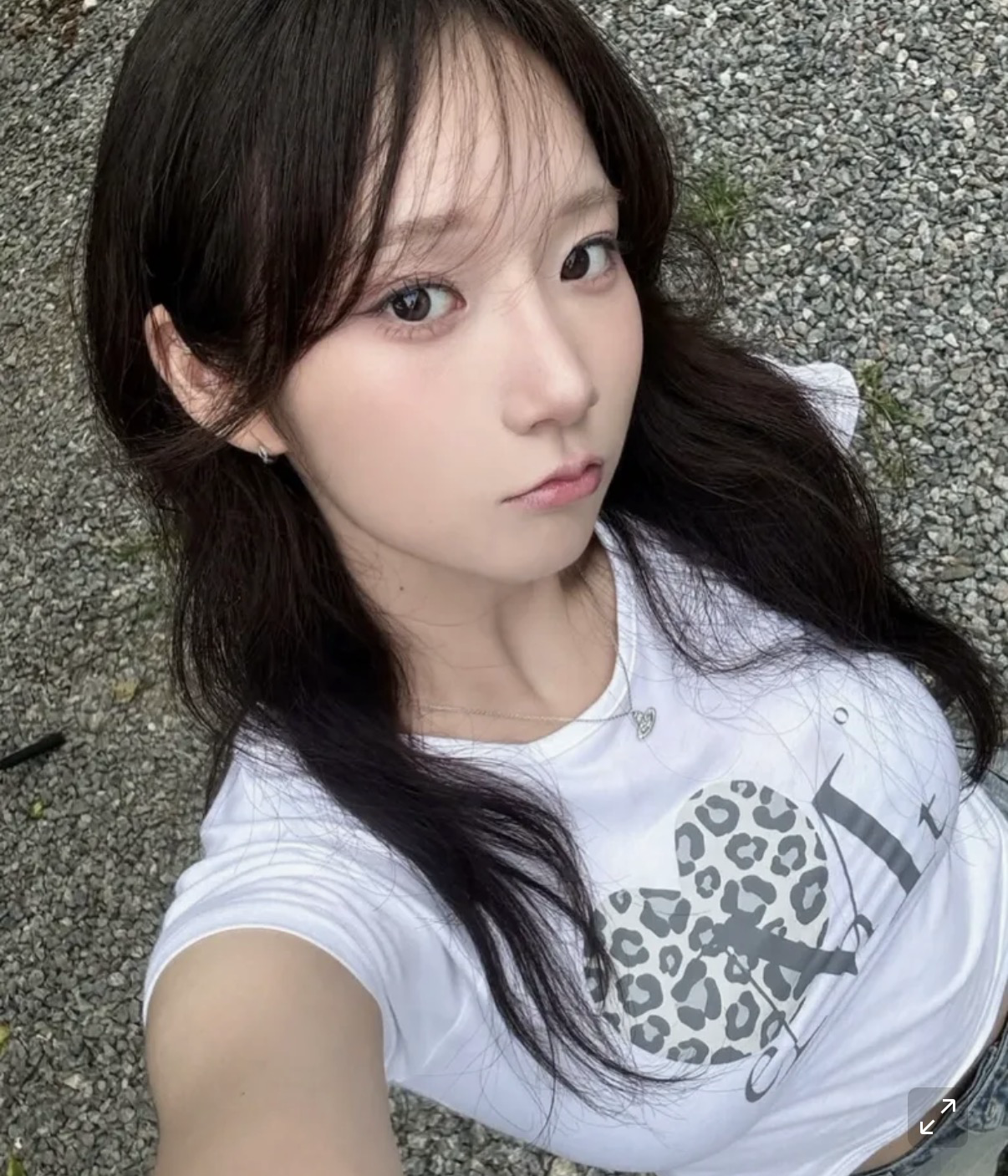 MUCENT - SIERRA LEOPARD HEART HALF T (3 COLORS)