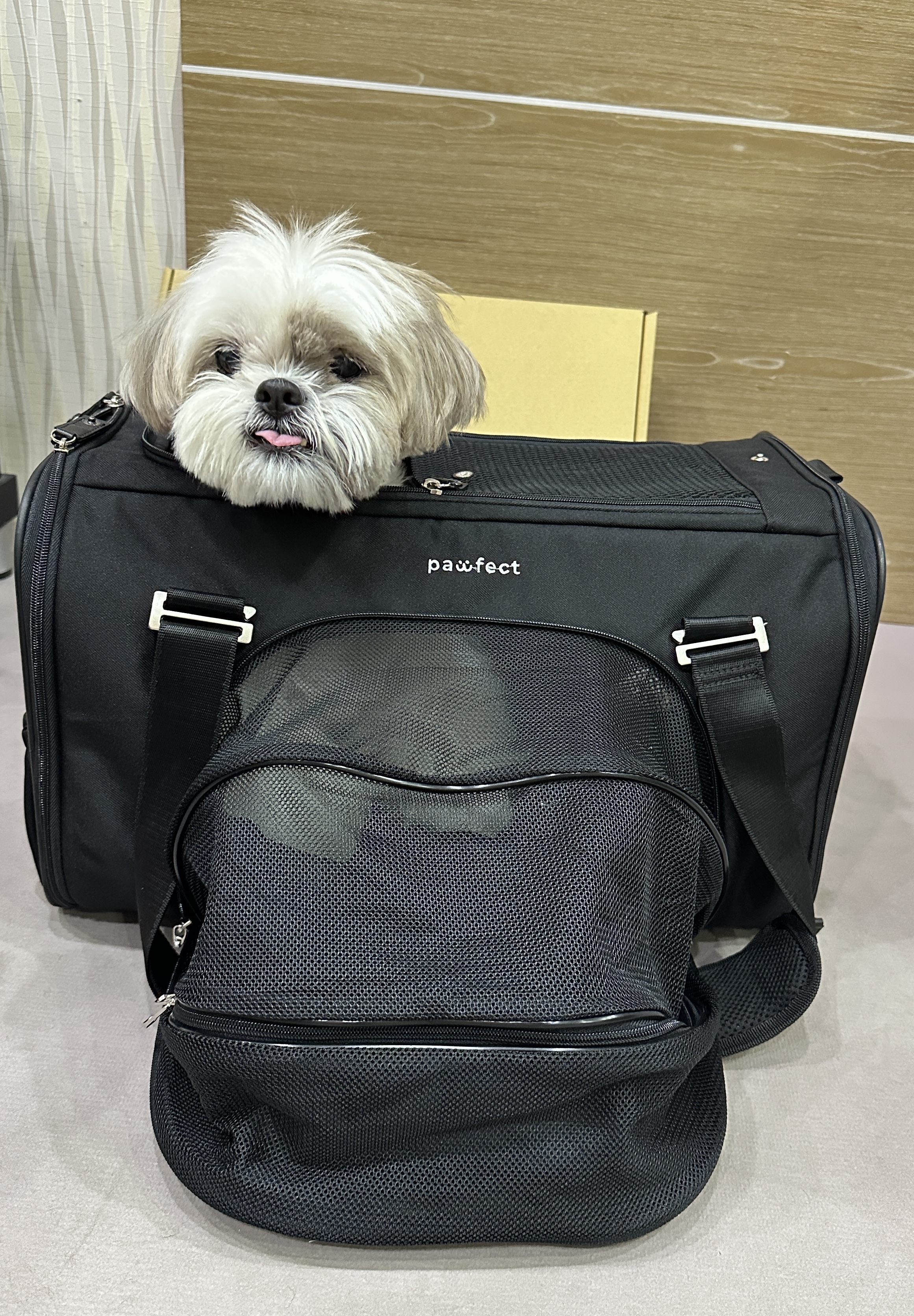 娃娃 with PAWFECT