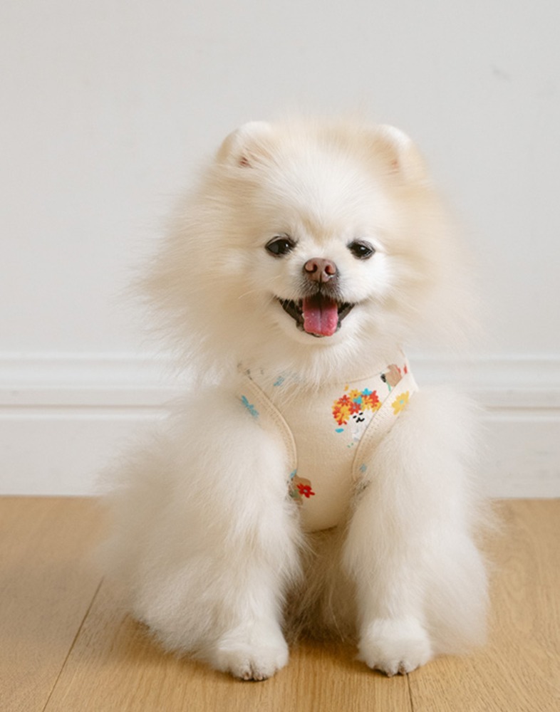 Noutti DINOTAENG 春日Marshville 無袖背心