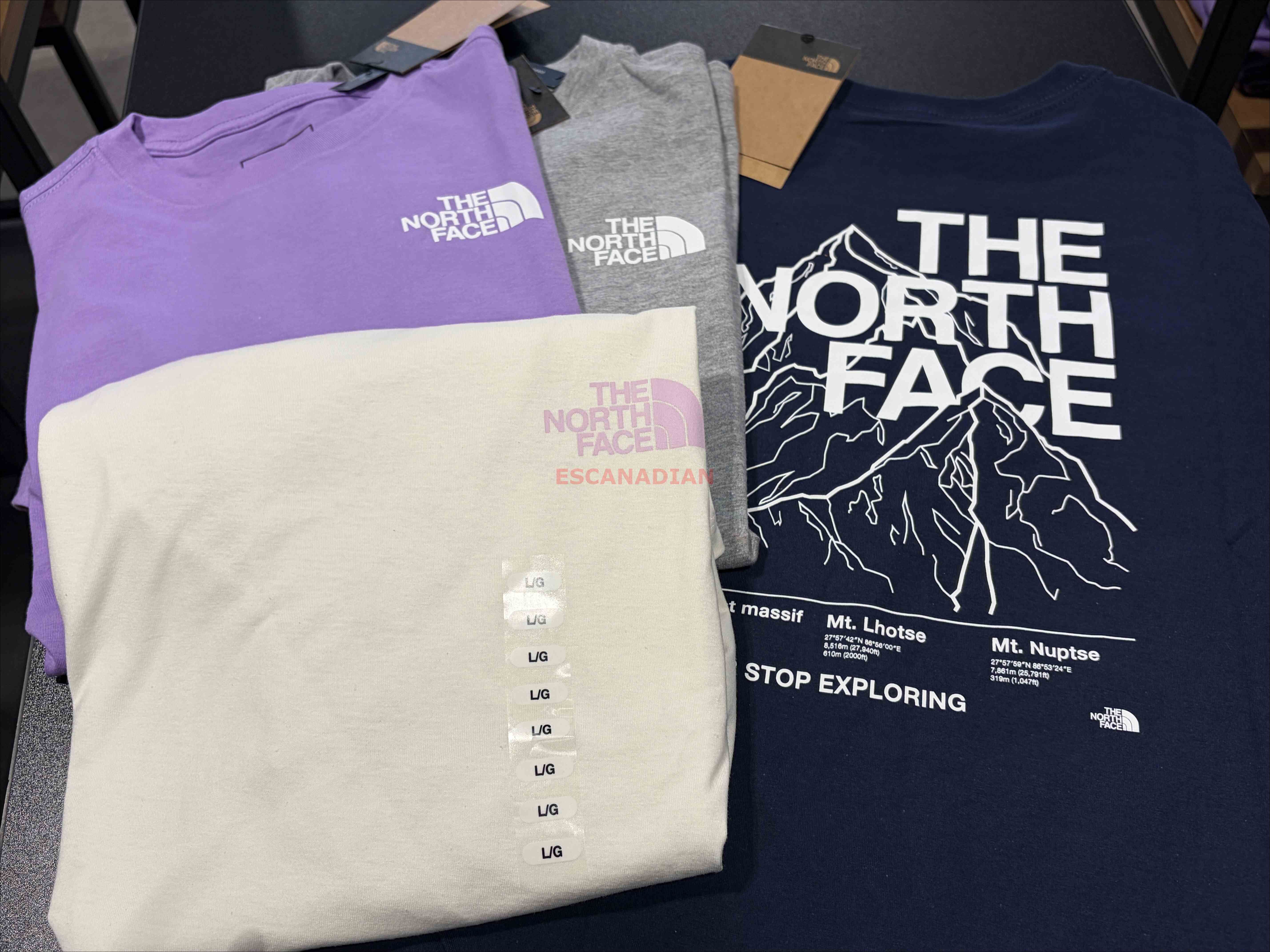 THE NORTH FACE 女大人 雪山 正反圖案 短TEE (4色) (小寬版)