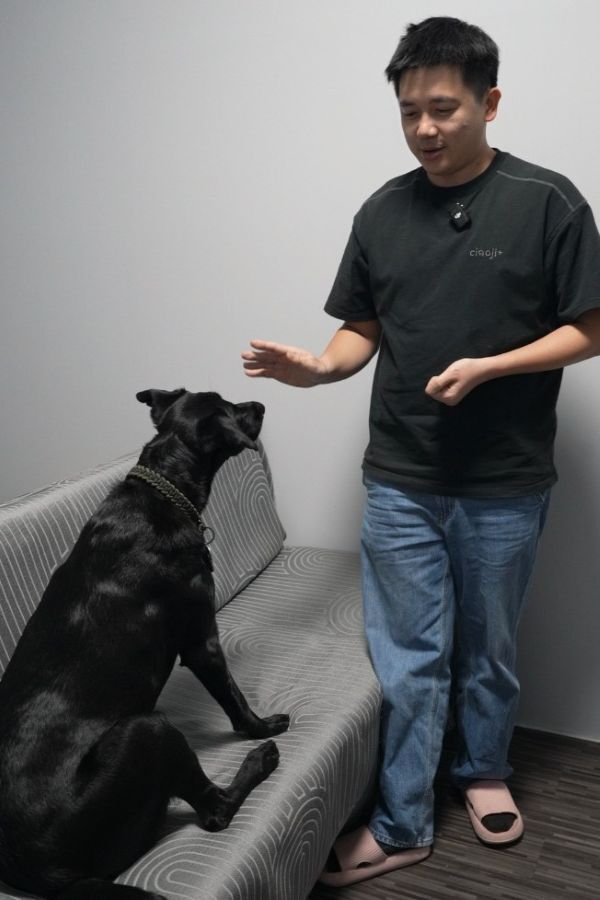 用狗狗零食凍乾訓練狗狗坐下照片