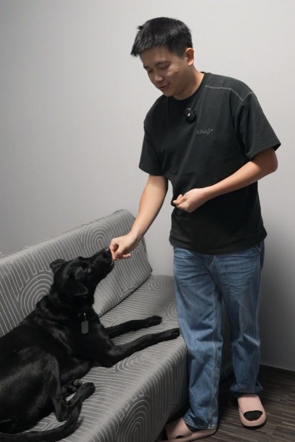 用狗狗零食訓練狗狗趴下的照牙