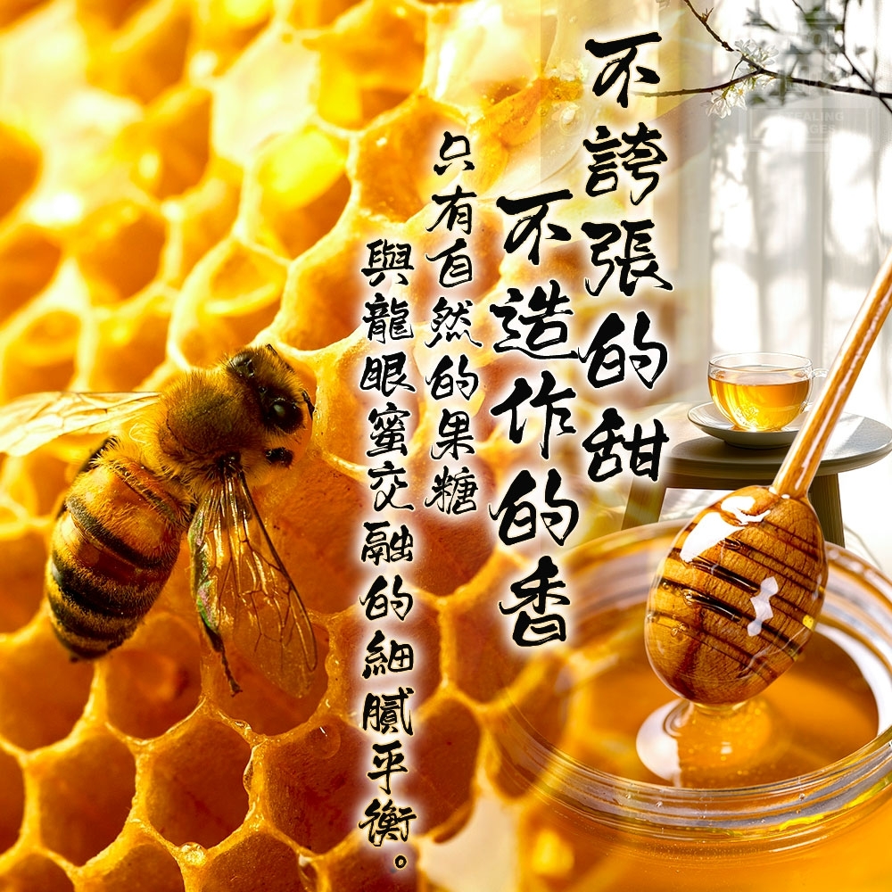 WSBB10973   龍眼蜂蜜風味糖漿 450g （6月上旬）