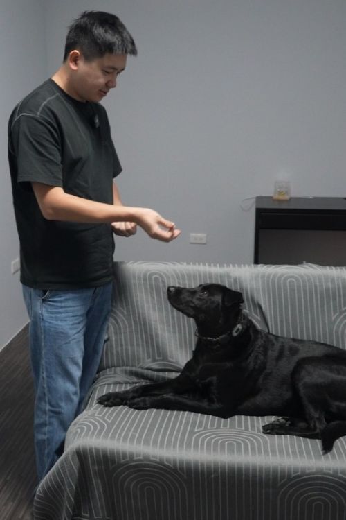 用零食凍乾建立與狗狗眼神交流