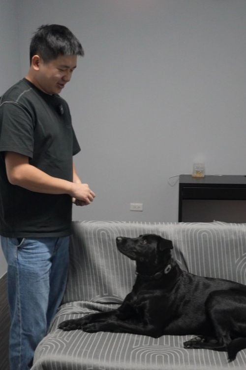 拿走凍乾，讓狗狗與飼主眼神對視