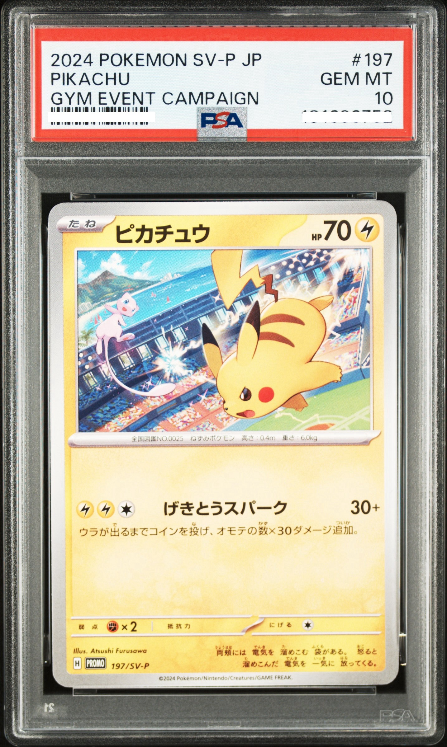 2024 POKEMON JAPANESE SV-P PROMO #197 PIKACHU GYM EVENT CAMPAIGN 【PSA 10】比卡超 皮卡丘