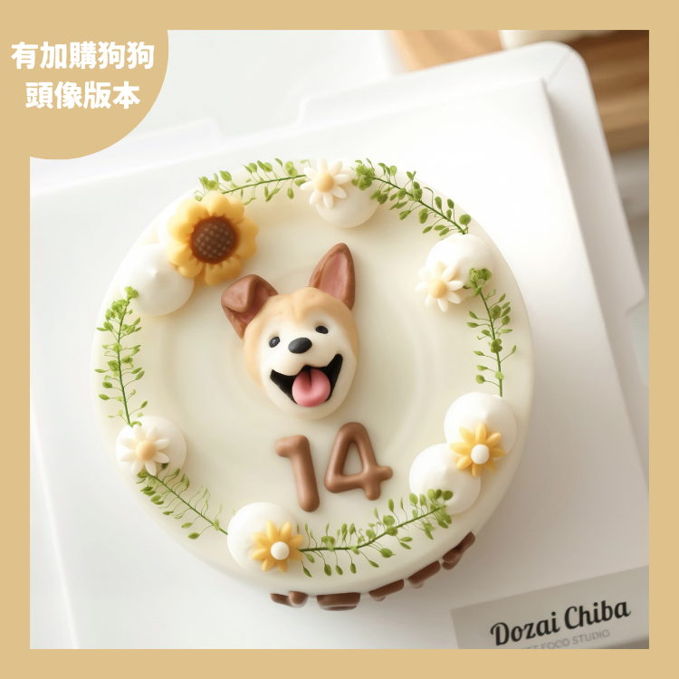 ꒰ 白色系꒱ 花園秘境