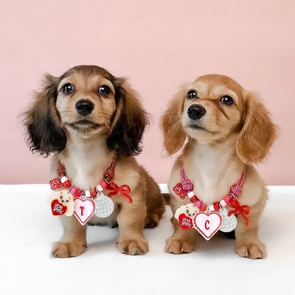 doggu 客製項鍊｜繽紛串珠項鍊