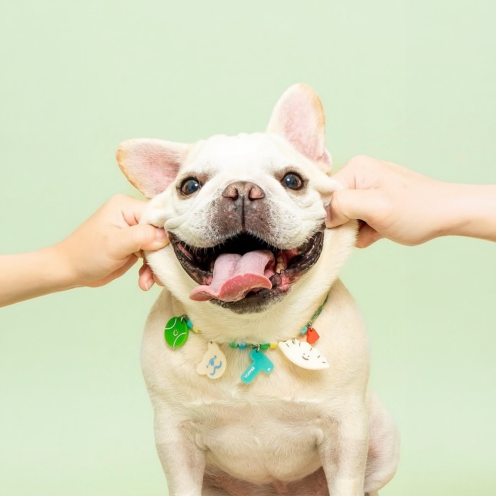 doggu 客製項鍊｜繽紛串珠項鍊