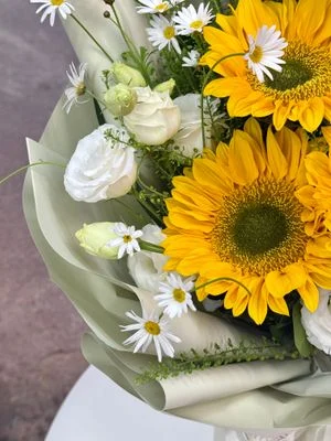 W - 牛油果向日葵_CON45020