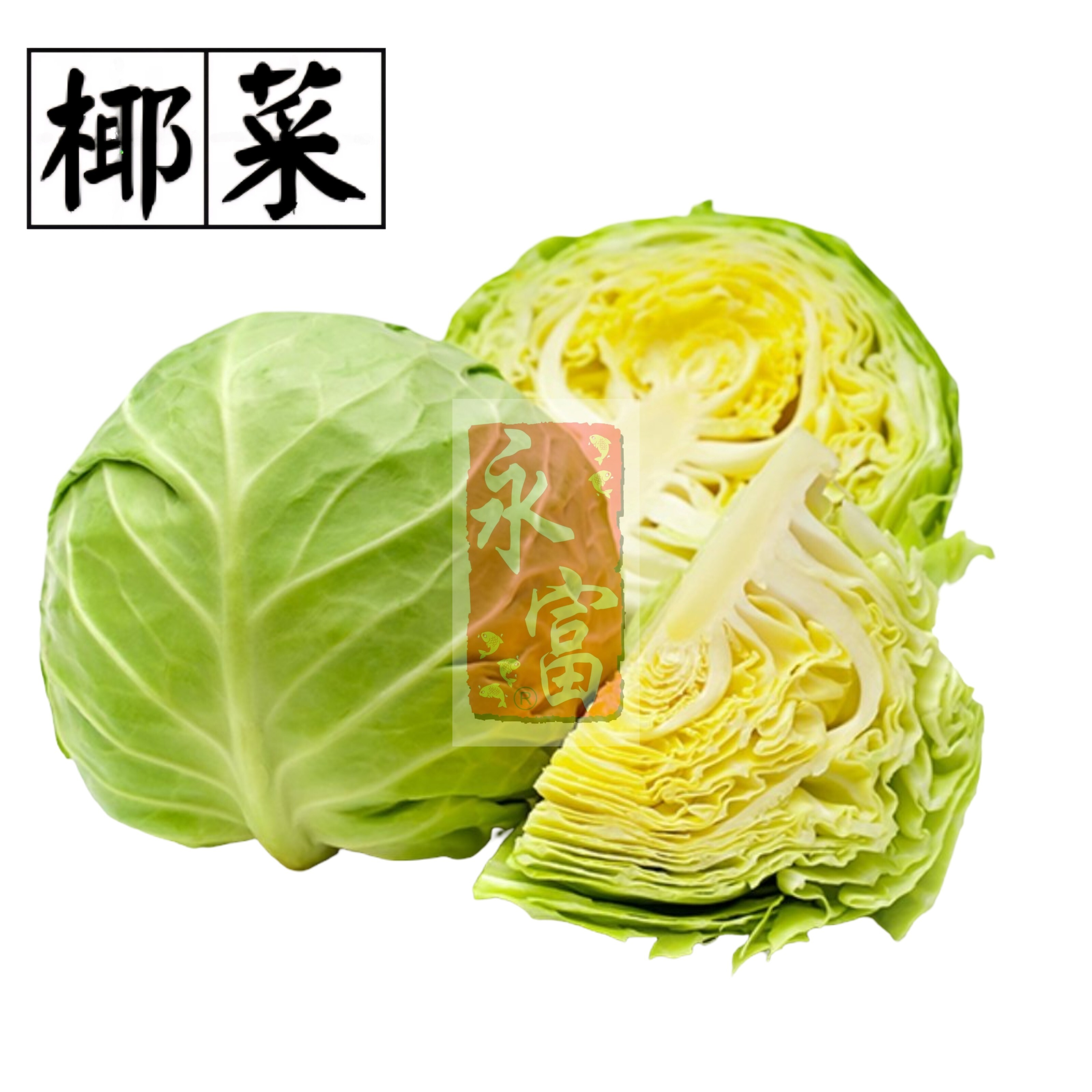 日本椰菜(1-1.2K)-1個