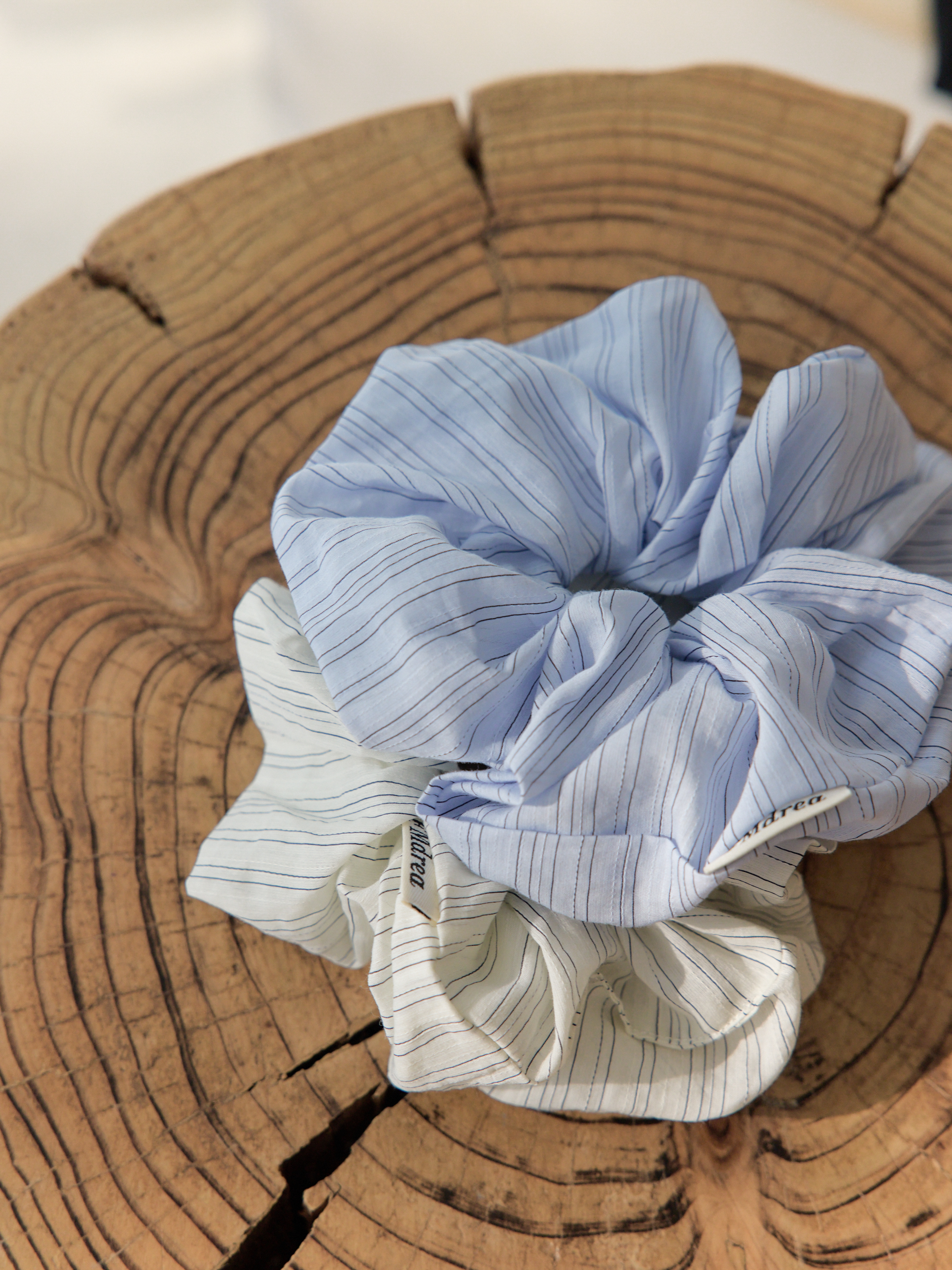 0320chu_2331.jpg 0320chu_2331.jpg