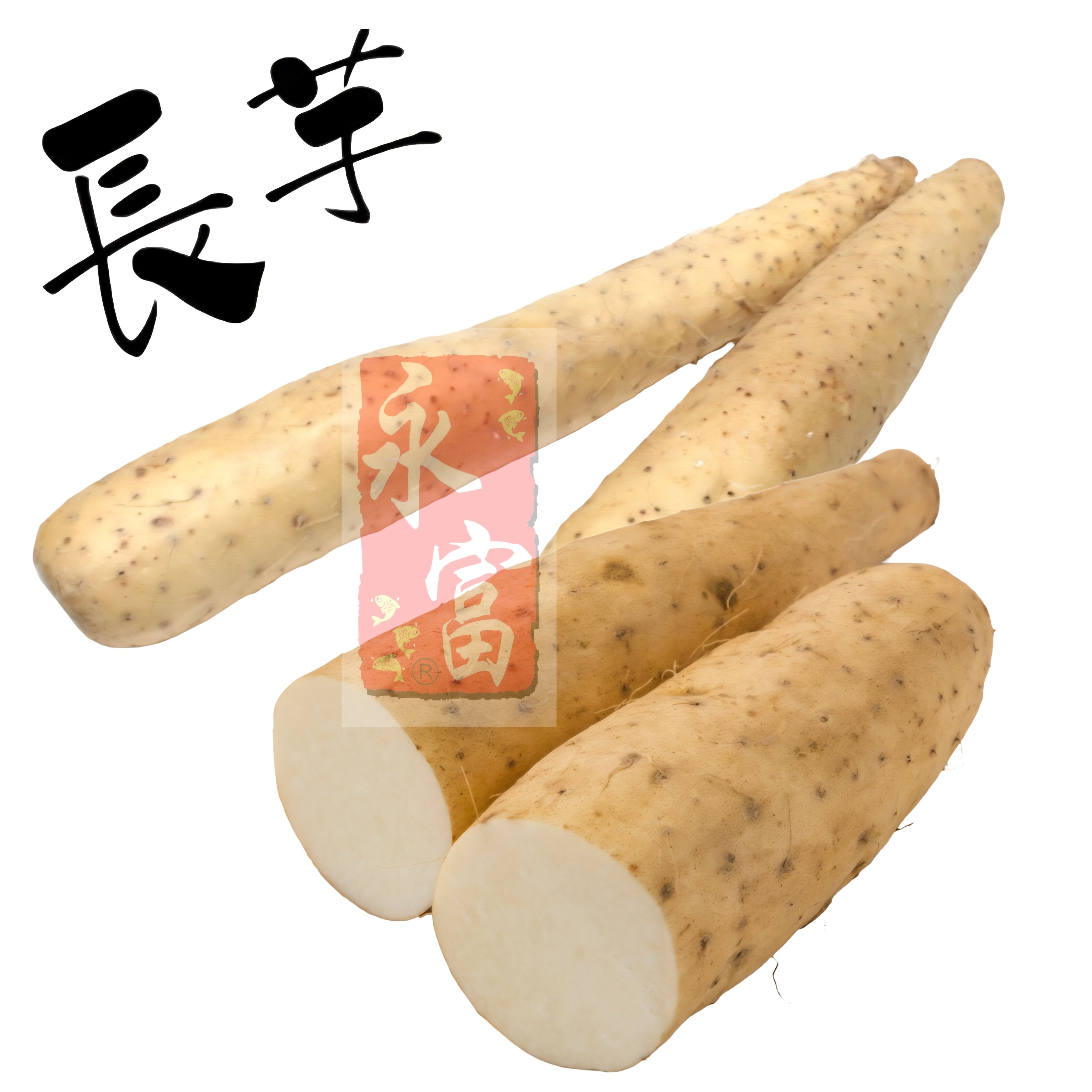 日本長芋(1KG)-1個