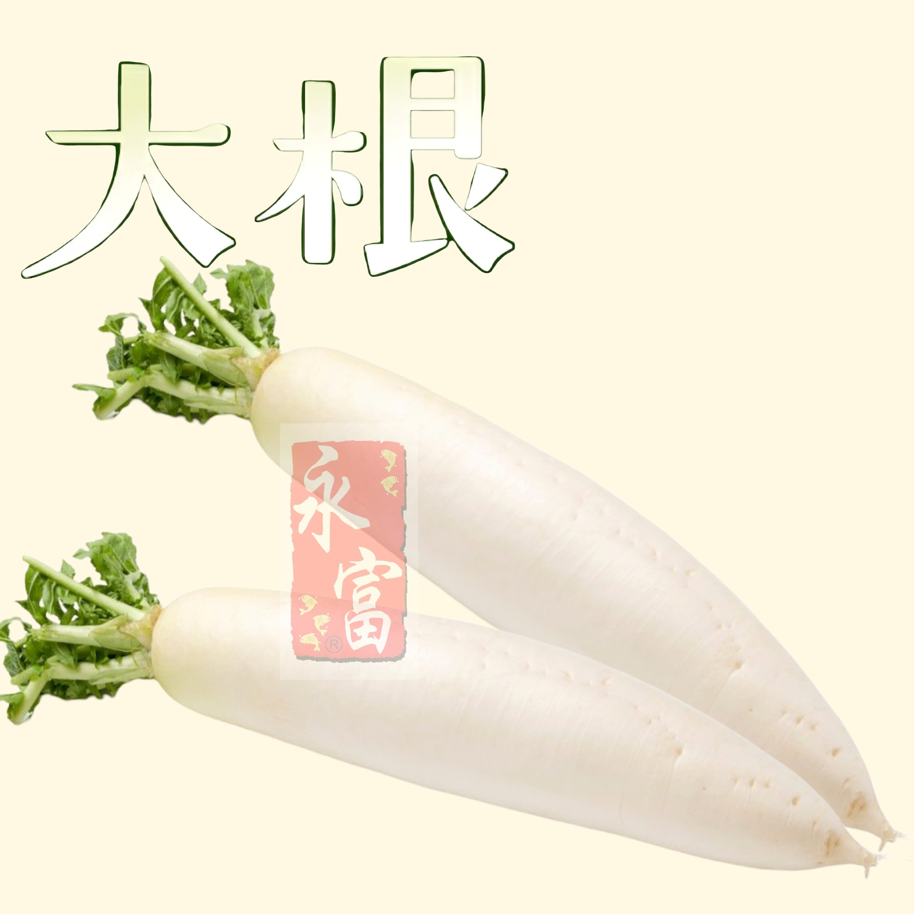 日本大根(蘿蔔)(1.2K)-1個