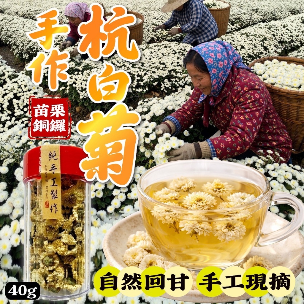 WSBB10985   苗栗銅鑼手作杭白菊 老街罐裝 40g（6月上旬）