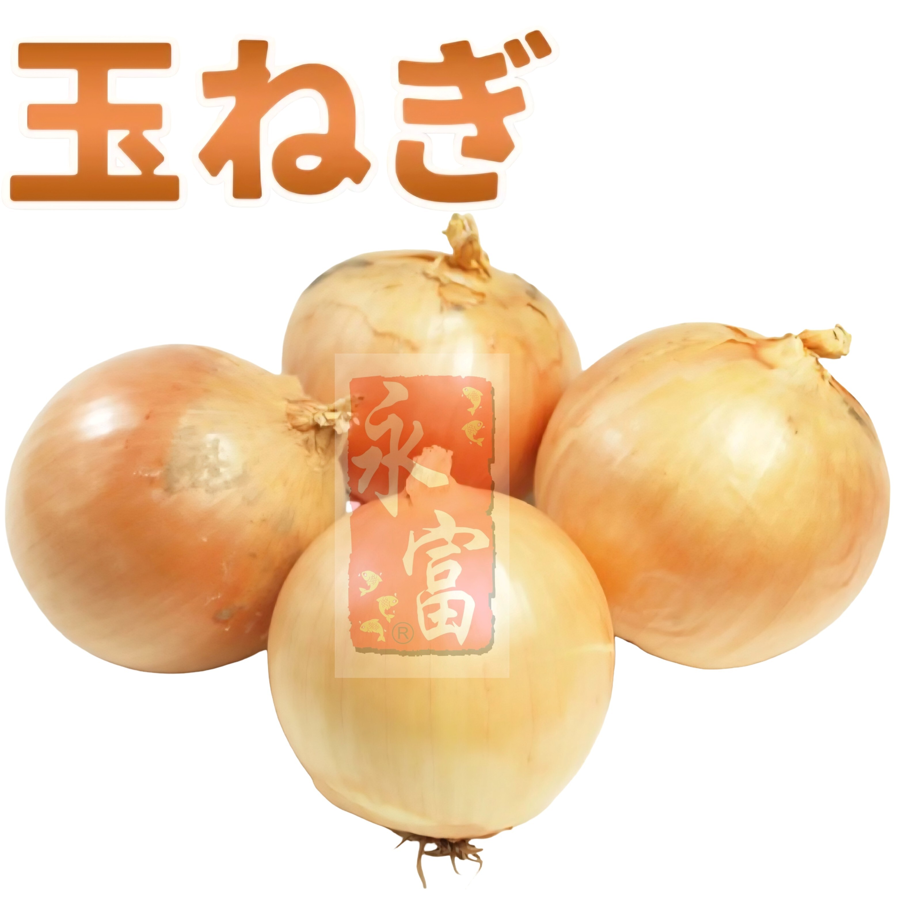 日本玉葱(洋葱)(600G-4個)-1包