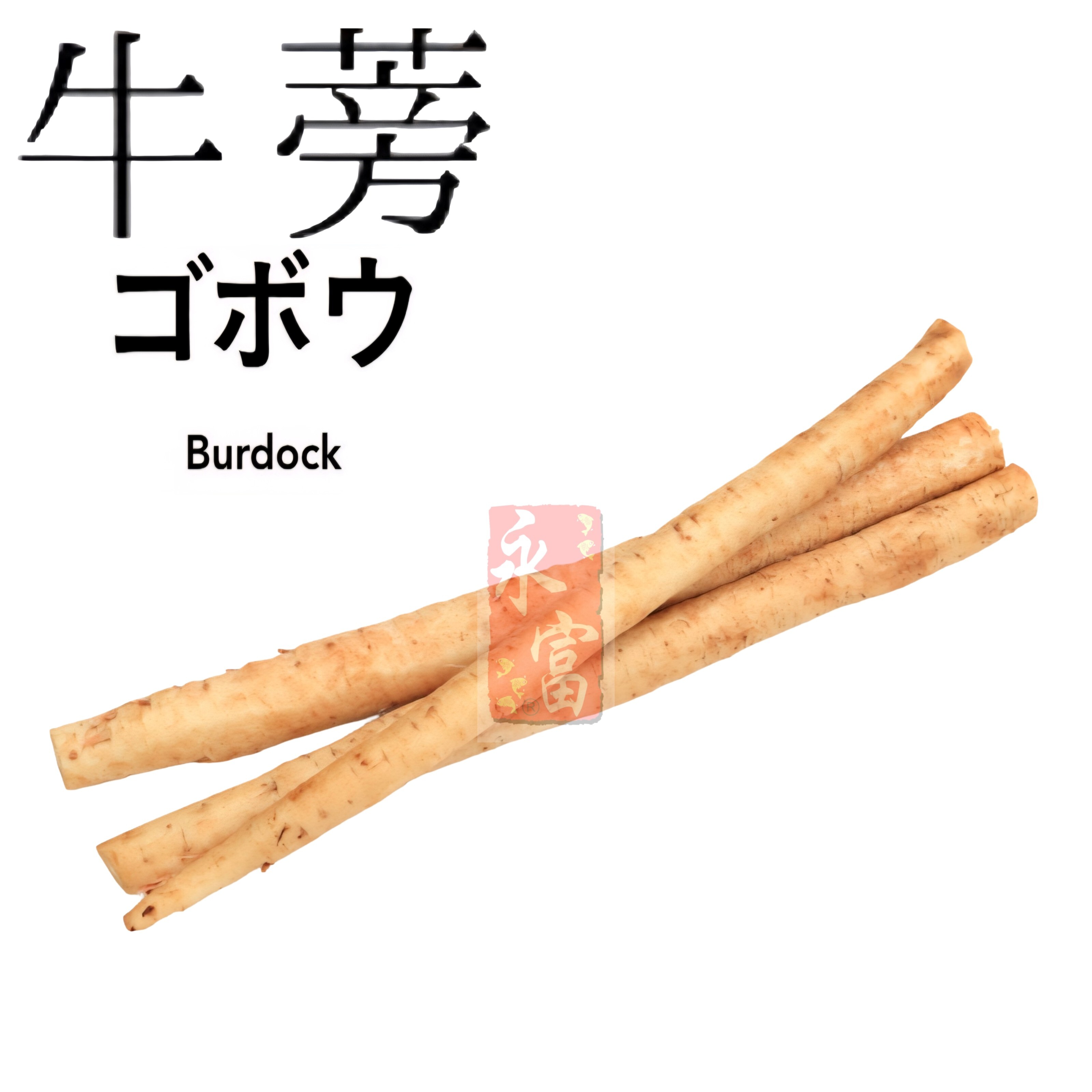 日本牛蒡(200G)-1個