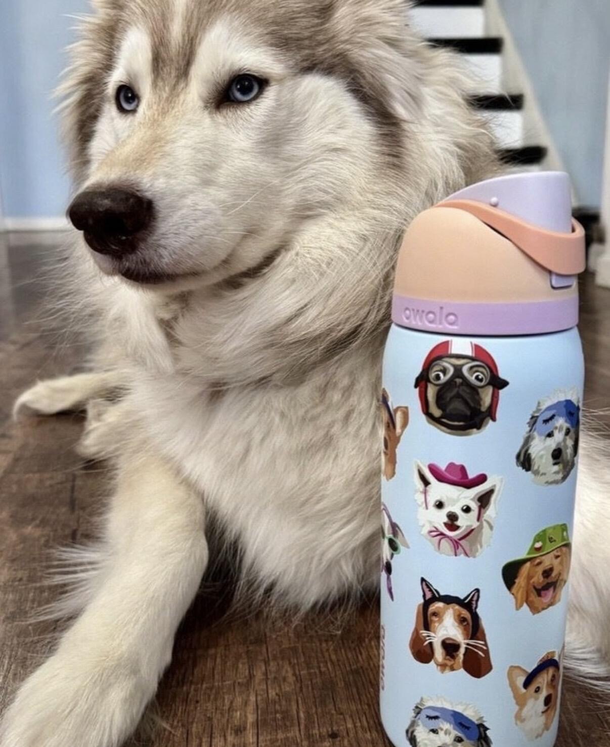 【預購】國外限定 Owala x UO 限量 聯名款 狗狗 水壺 吸管杯 手柄提把 保溫杯 32 oz 945ml