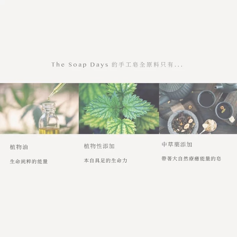 （定期購）【THE SOAP DAYS】洗髮沐浴皂100g | 溫和滋潤髮絲 - 款式隨機