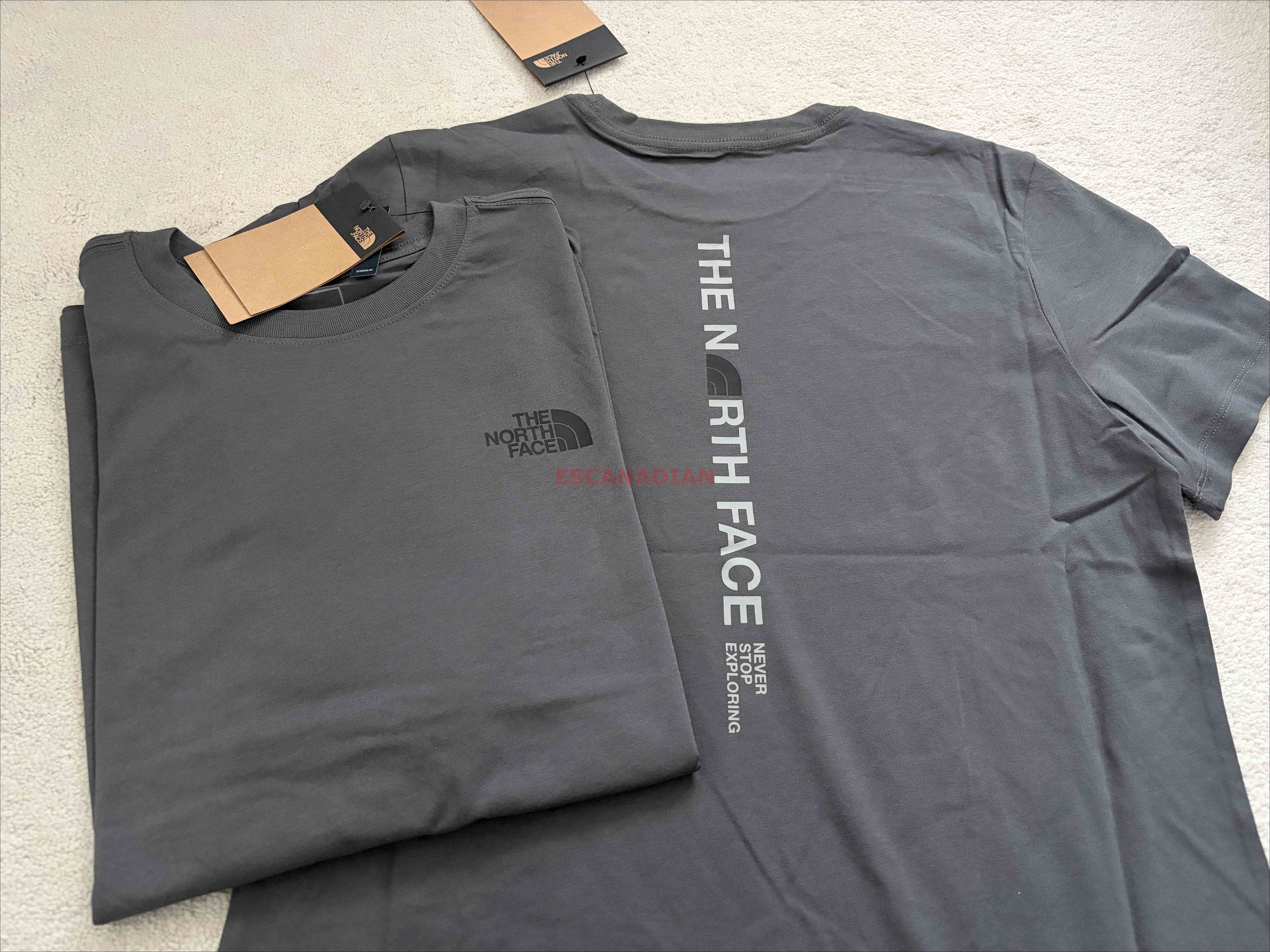 THE NORTH FACE 女大人 字樣標語 正反圖案 短TEE (正常版)