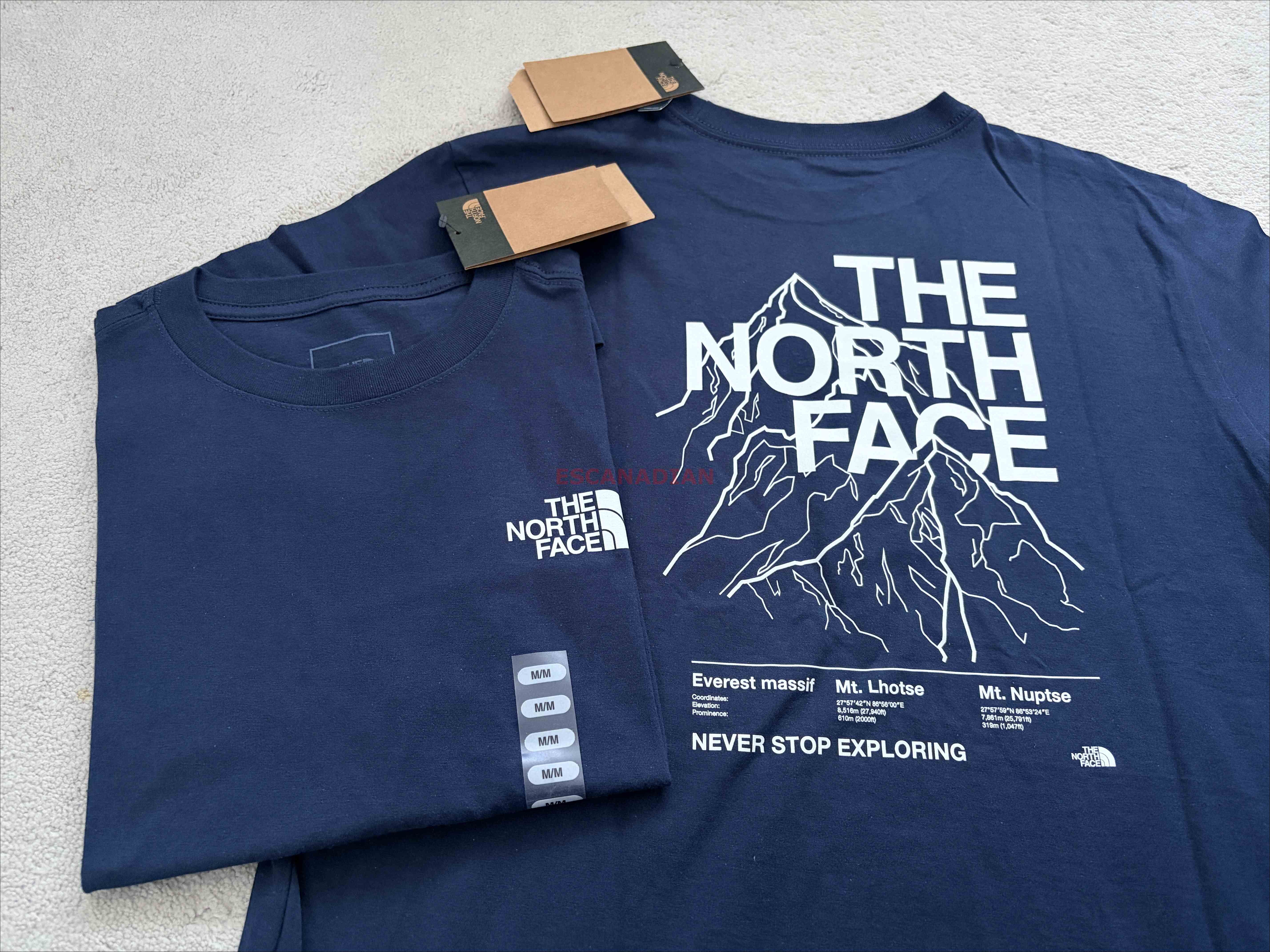 THE NORTH FACE 女大人 雪山 正反圖案 短TEE (4色) (小寬版)