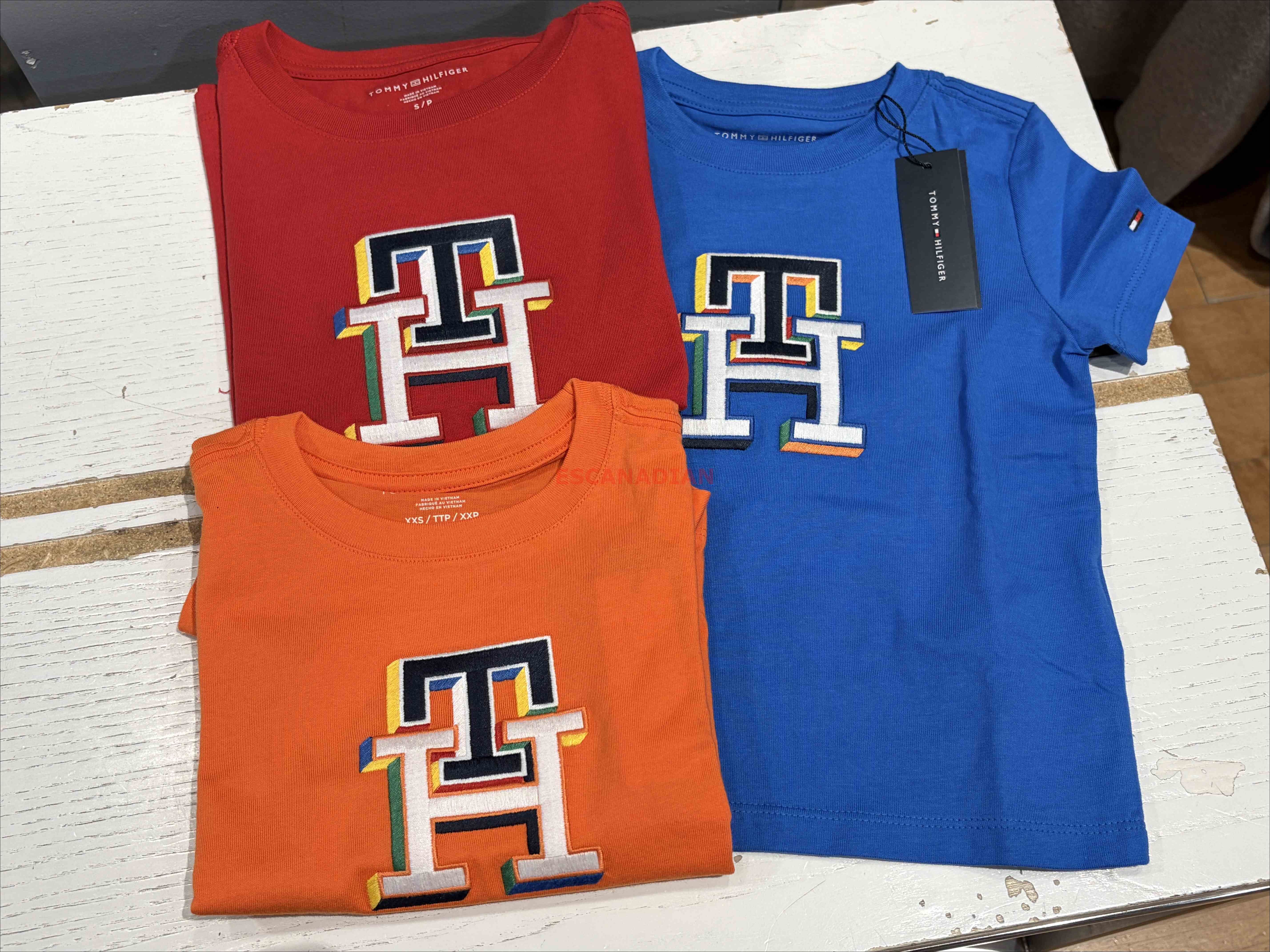 TOMMY 男大童 TH刺繡字樣 短TEE (3色)