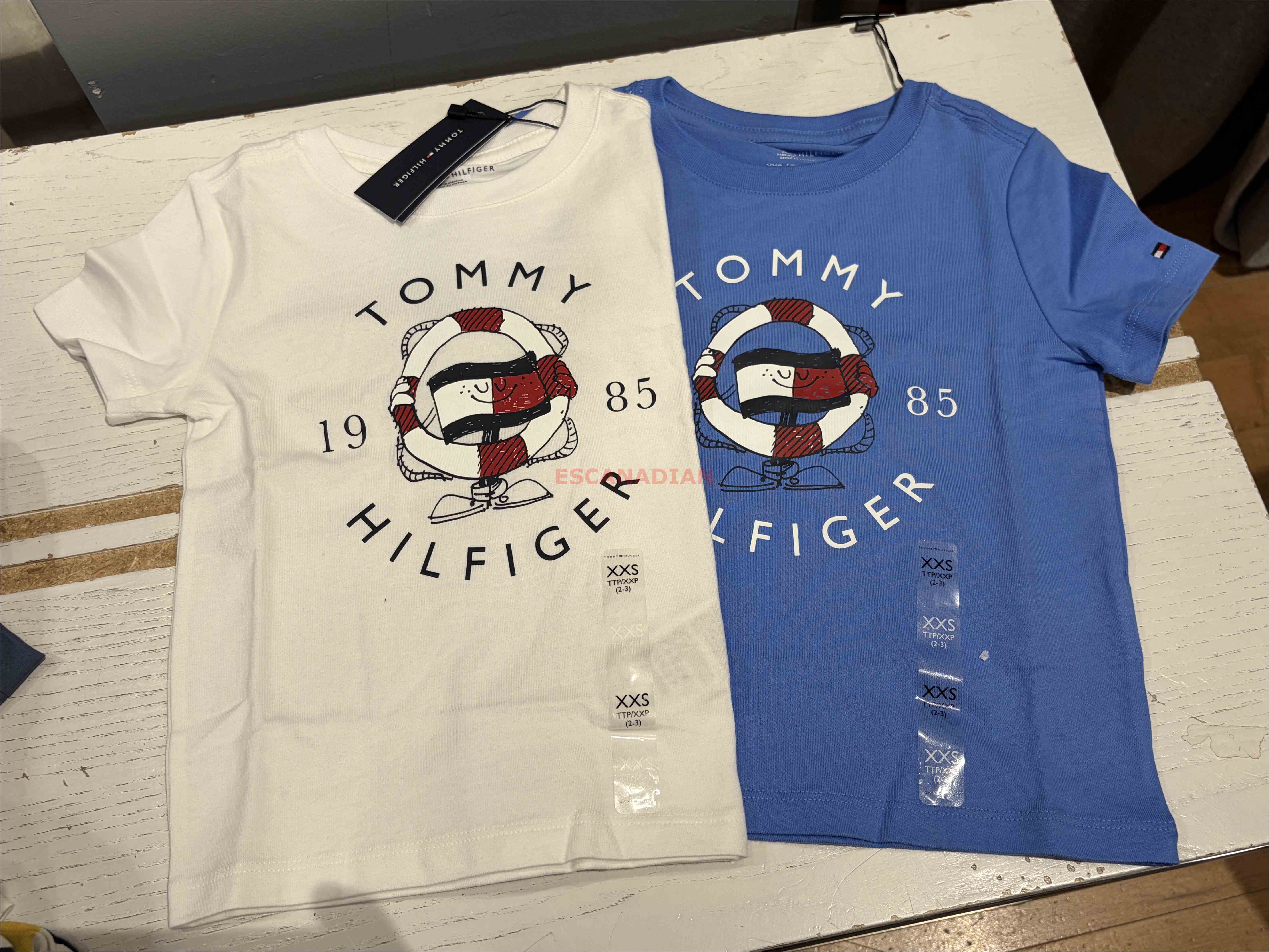 TOMMY 男大童 圖案 短TEE (2色)