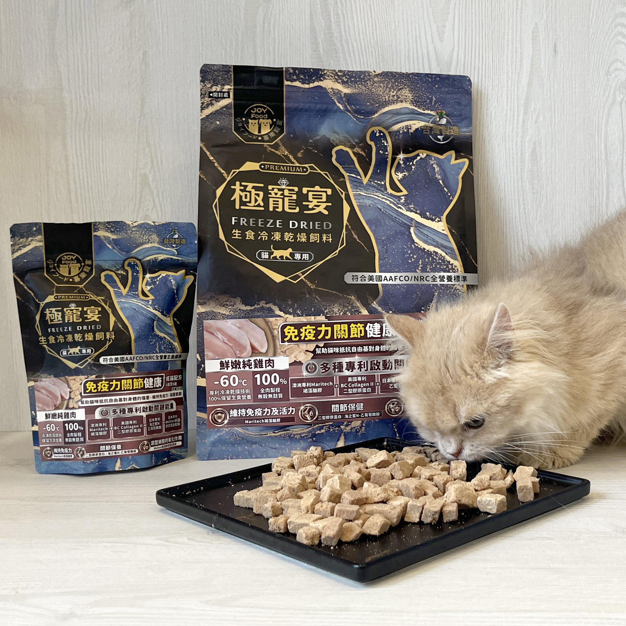現貨即出🔥限定會員首購【免運組】貓咪新朋友主食嚐鮮組 特價499元