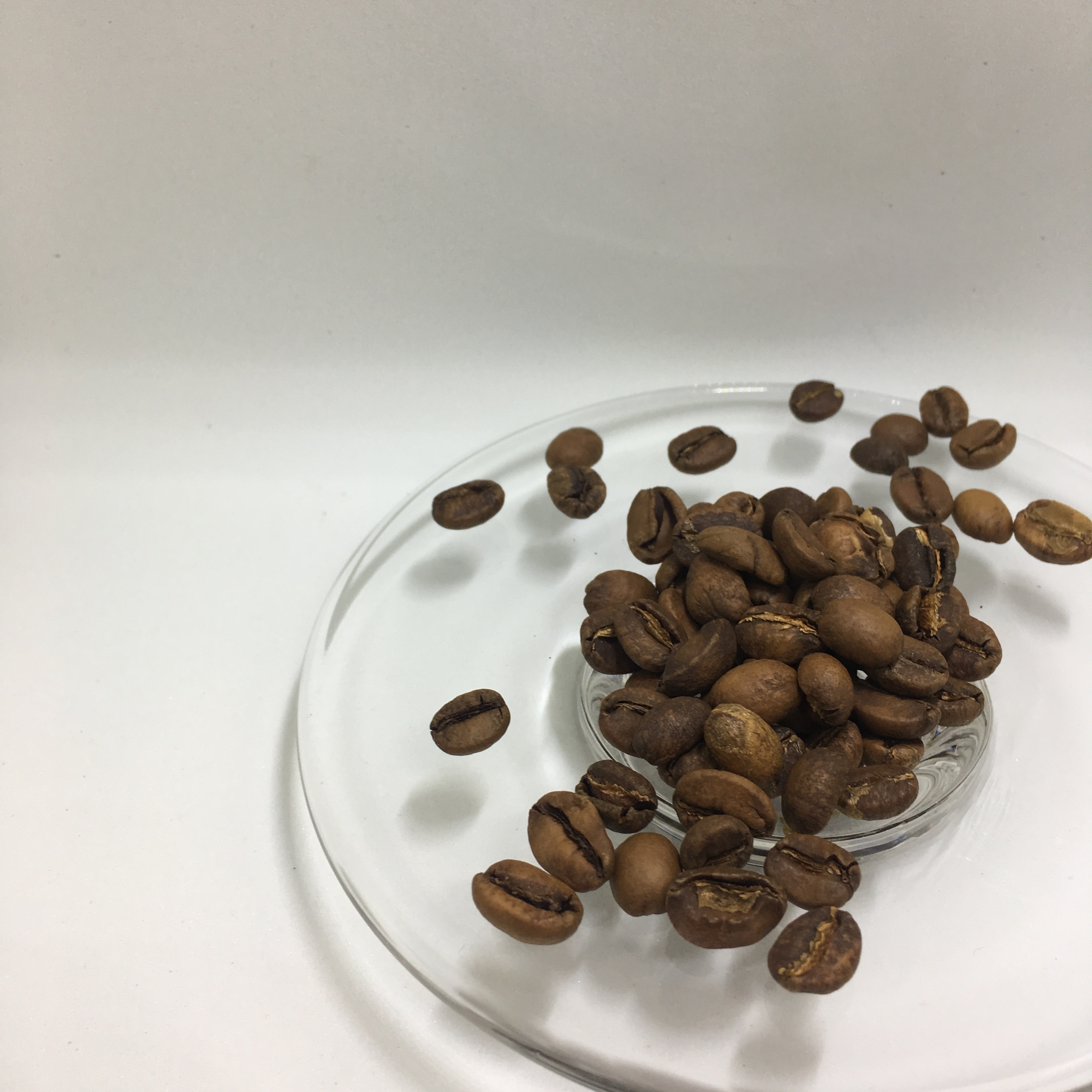 卓武山咖啡農場 鐵比卡 水洗處理 100克