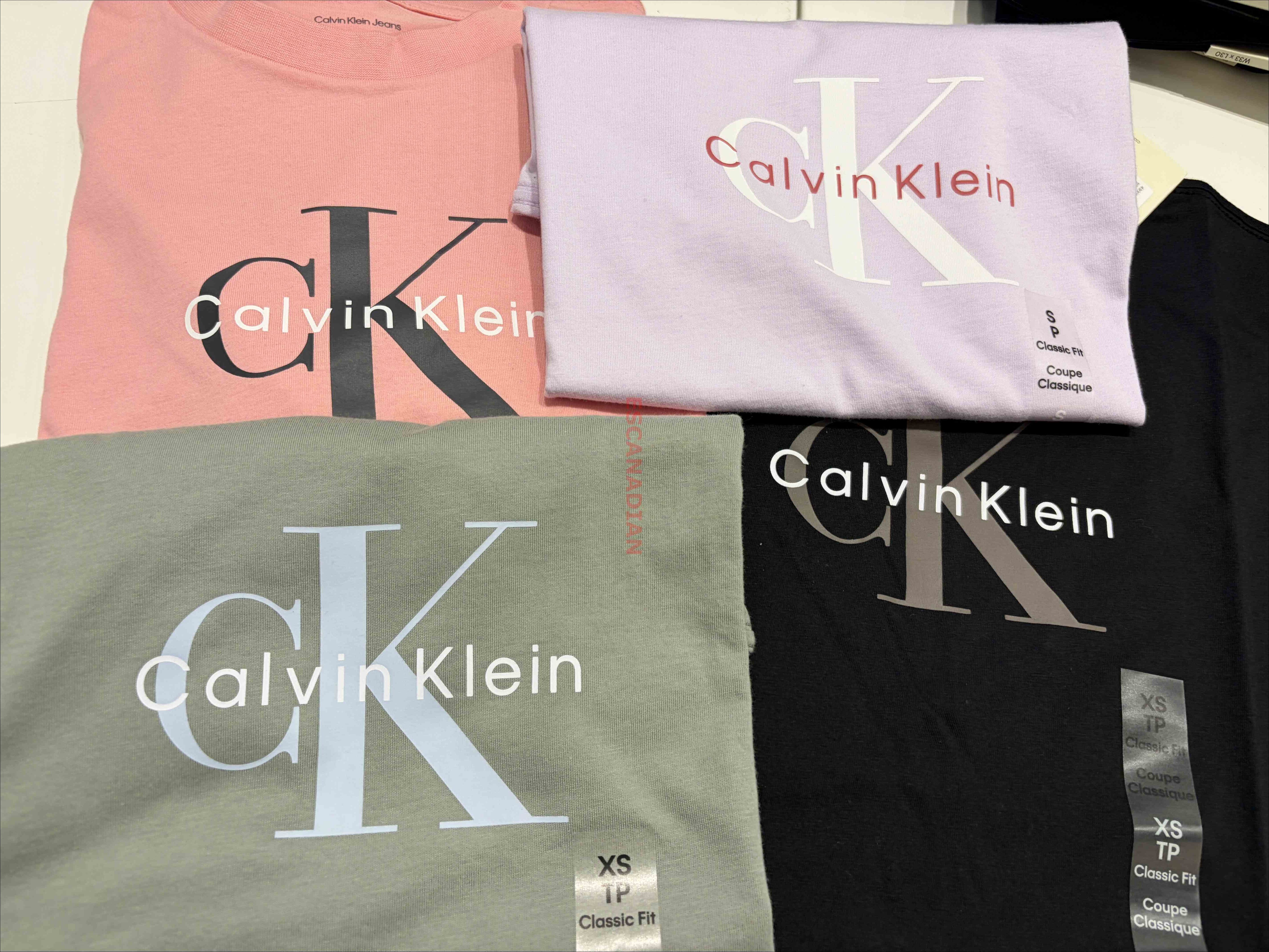 CK 女大人 經典字樣 短TEE (4色) (Class fit)