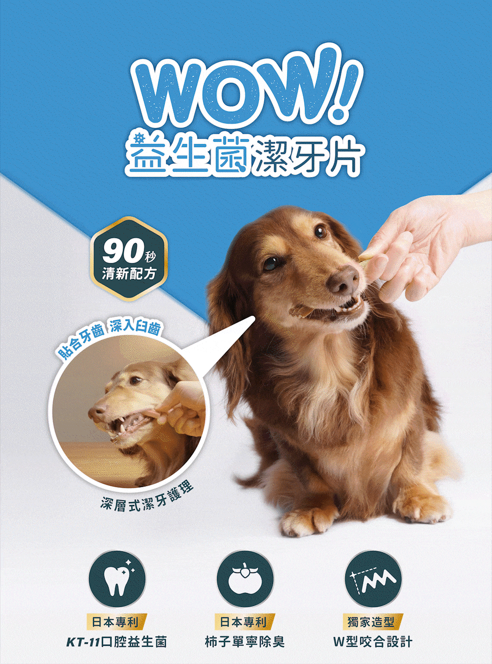 WOW益生菌潔牙片，90秒清新口氣