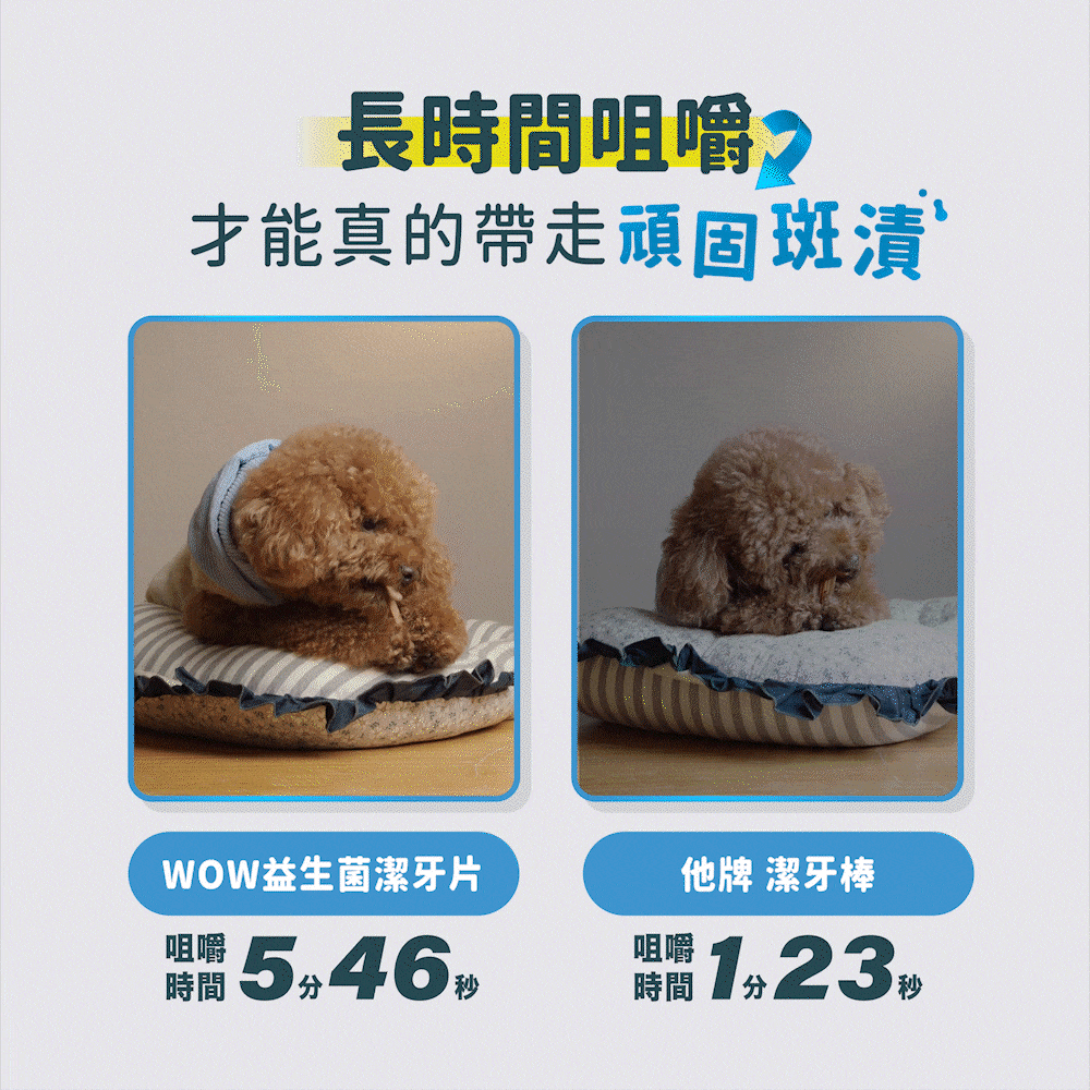 潔牙骨需要咀嚼夠一段時間才能帶走頑固班漬