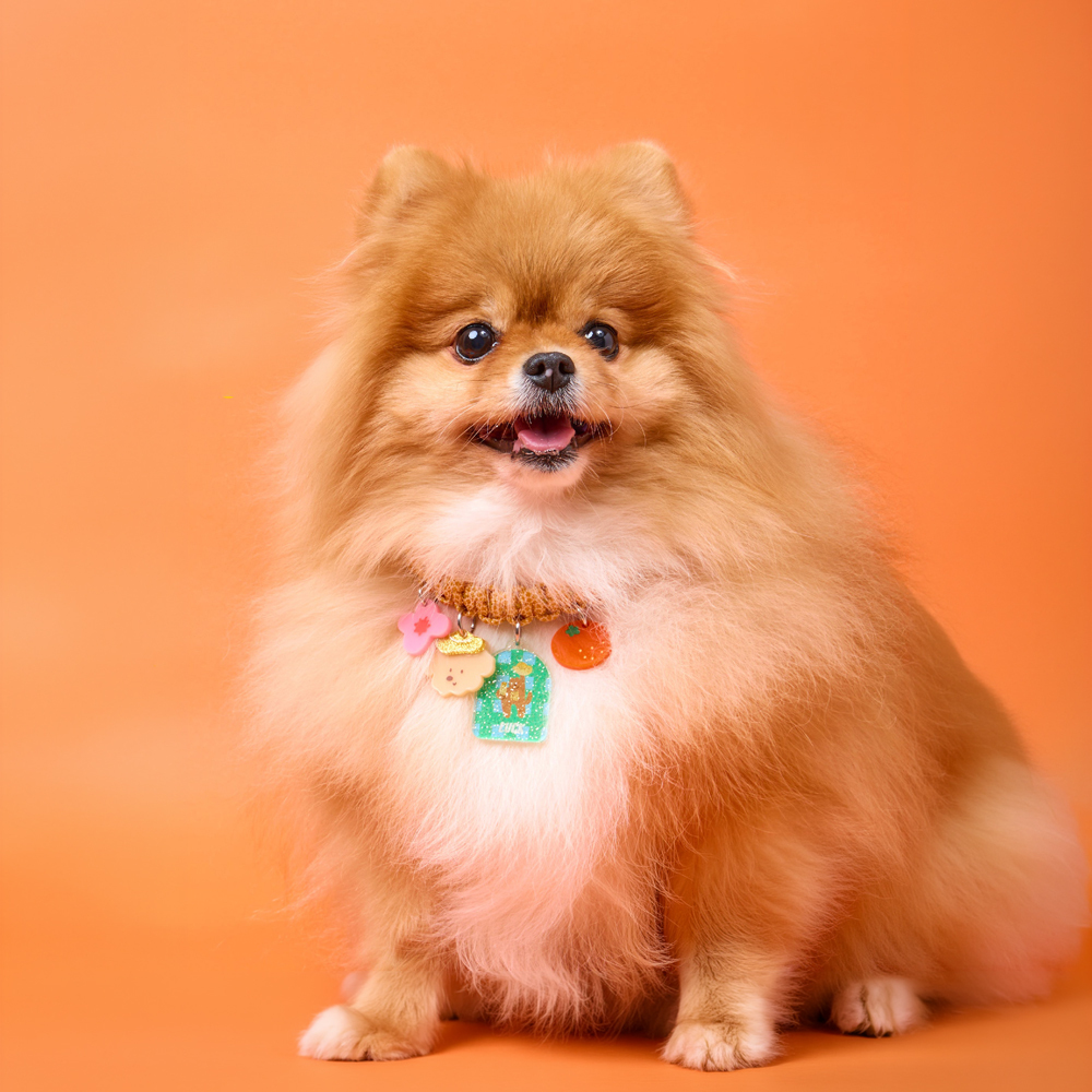 doggu 客製項鍊｜鬆餅編織安全扣項鍊