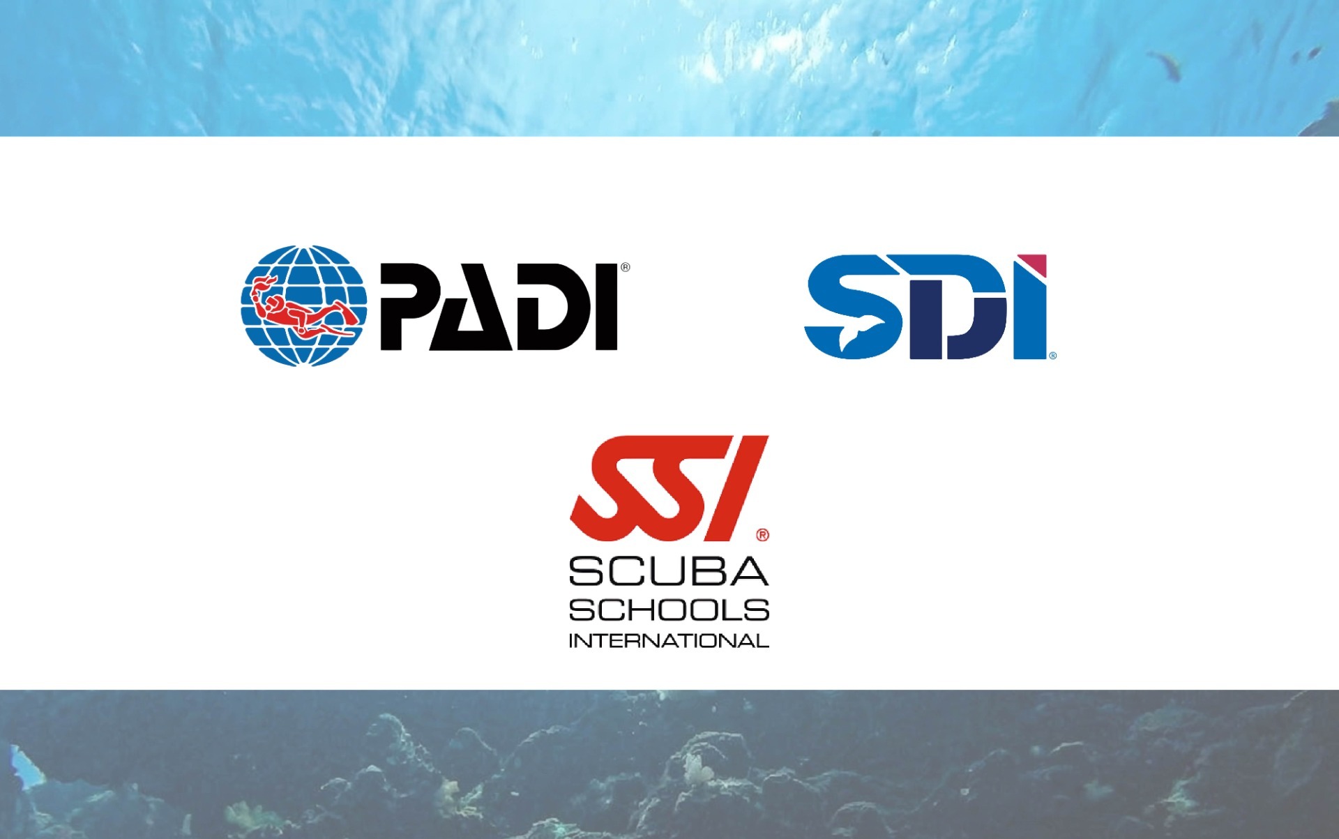 PADI、SSI、SDI 三大潛水系統比較與特色說明，新手潛水考照指南。