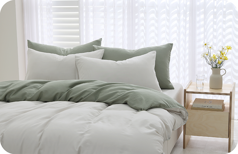 側邊全床視角展現極簡居家風格