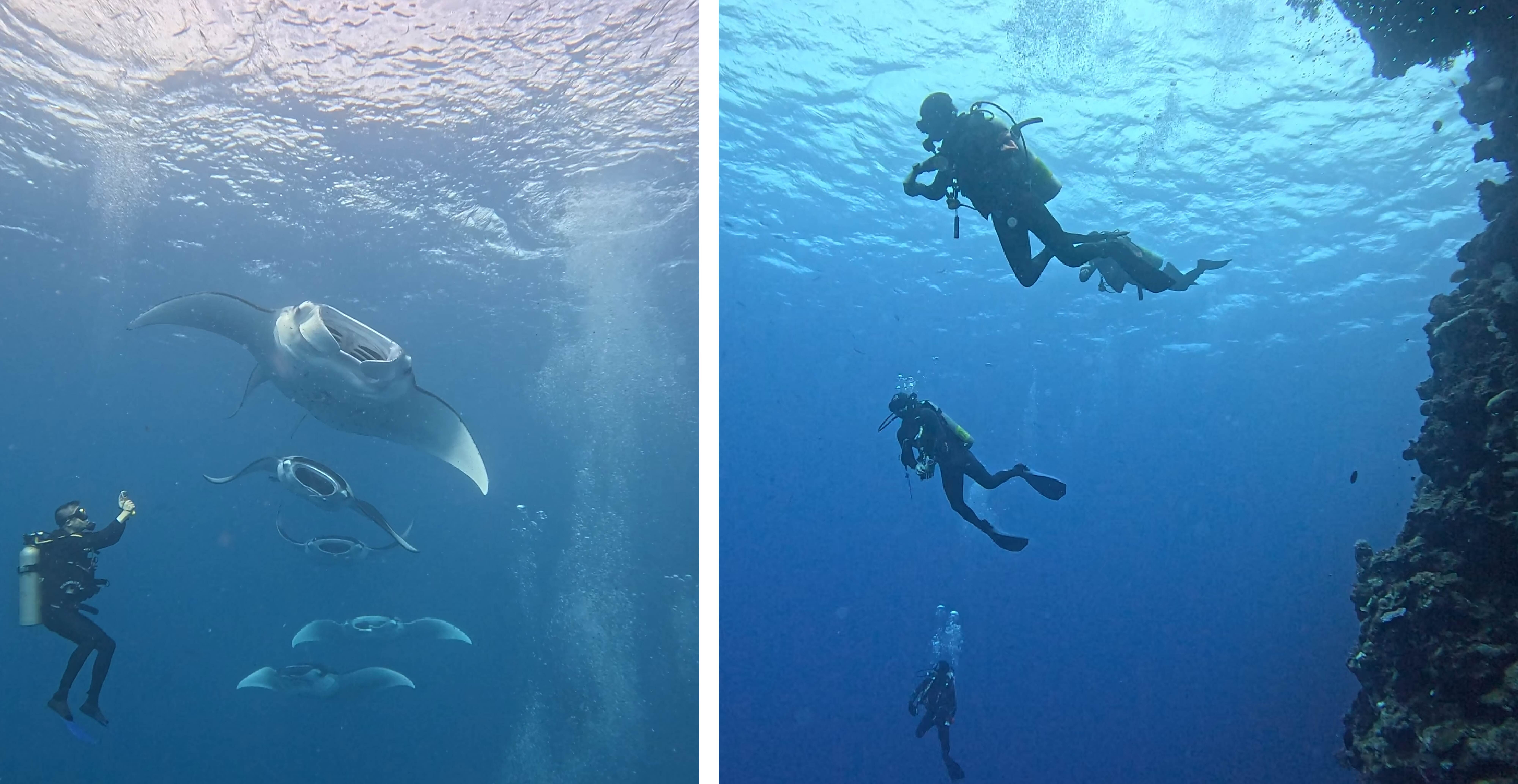 掃描加入海怪水下娛樂 LINE 官方帳號，立即諮詢 PADI OW 潛水考照課程。