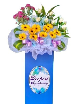 H10B⭐⭐⭐⭐⭐Member  Discount