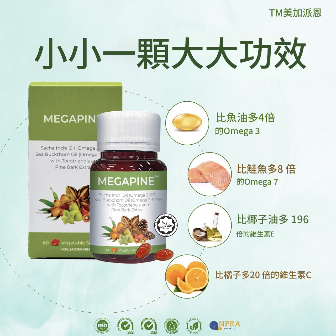 MEGAPINE SACHA INCHI OIL 60粒 05/11/2027