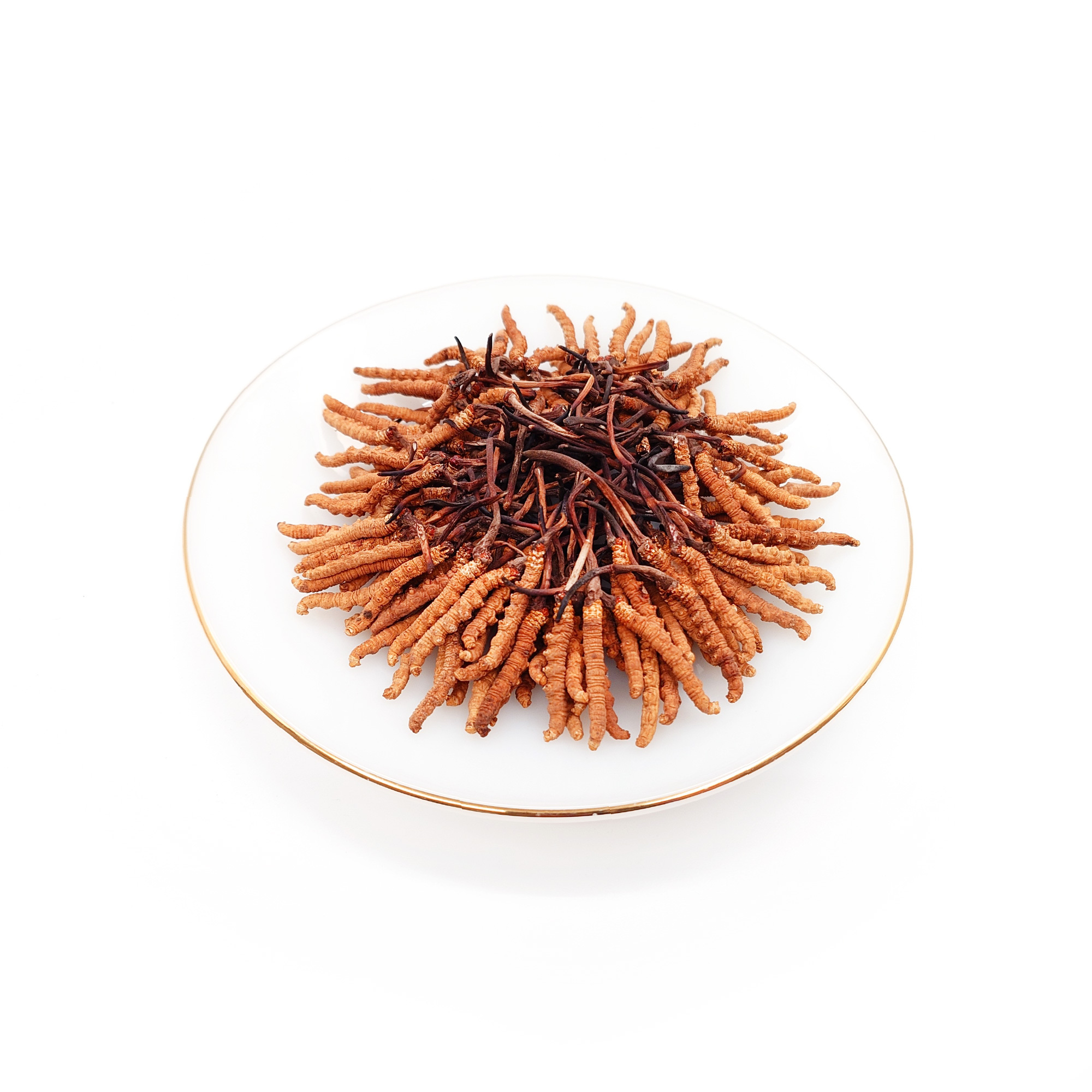 Cordyceps (150-160pcs/Tael)