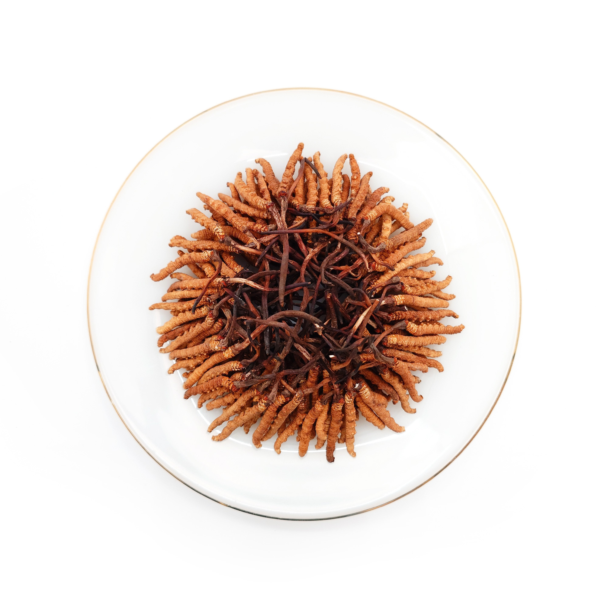 Cordyceps (150-160pcs/Tael)