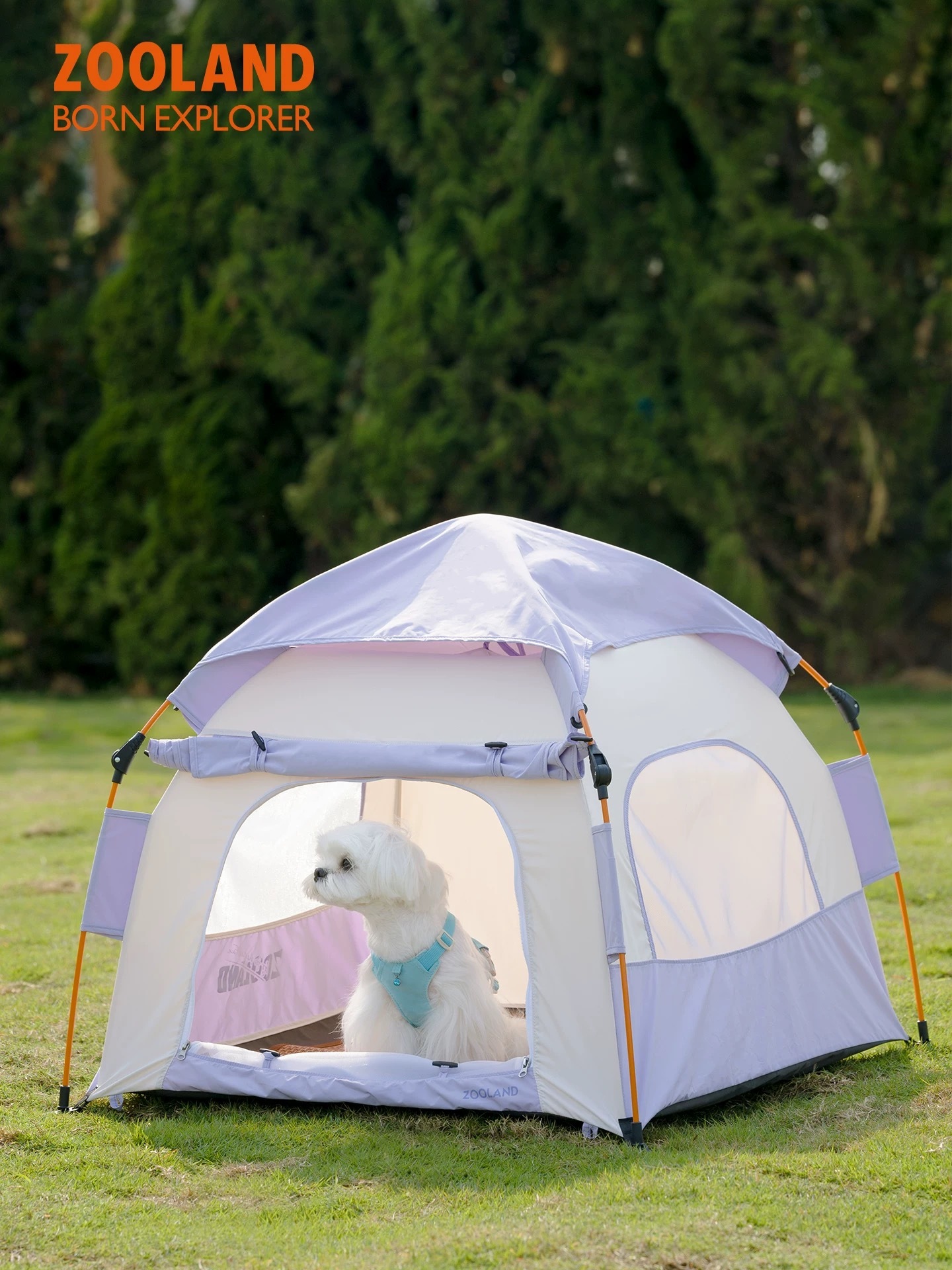 ZOOLAND 帐篷 长76CM X 款76CM
