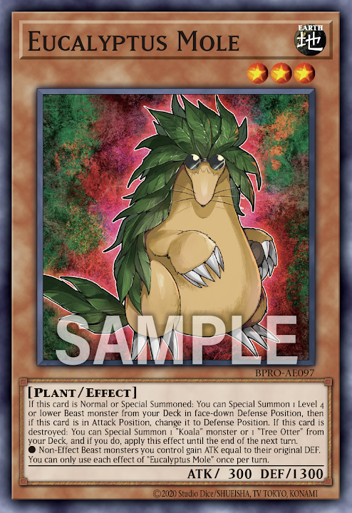 BPRO-AE097 Eucalyptus Mole(尤加利鼴鼠)