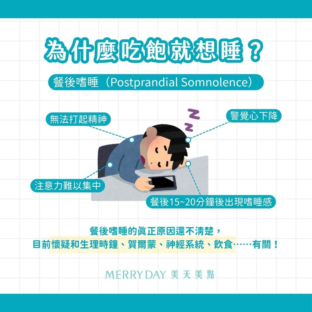  為什麼吃飽會想睡? 吃飽會想睡的這個現象叫「餐後嗜睡(Postprandial Somnolence)」,大多在餐後15~20分鐘內會出現嗜睡感,讓人注意力難以集中、警覺心下降,無法好好打起精神。造成餐後嗜睡的真正原因還不清楚,目前懷疑和生理時鐘、賀爾蒙、神經系統、飲食……有關。