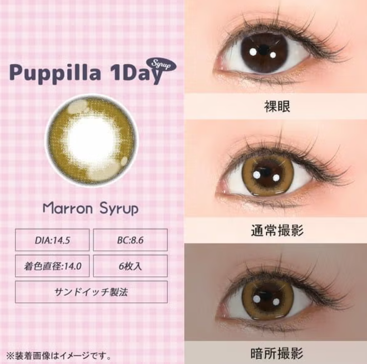 Puppilla 1Day Color Contact Lens 每日即棄有色隱形眼鏡 6片 Marron Syrup